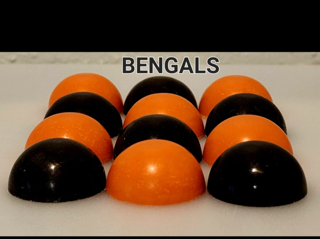 SPORTS: NFL AFC NORTH (Ganache)