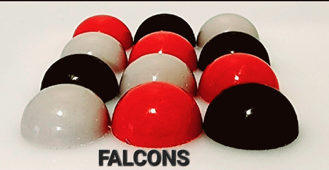 SPORTS: NFL NFC SOUTH (Ganache)