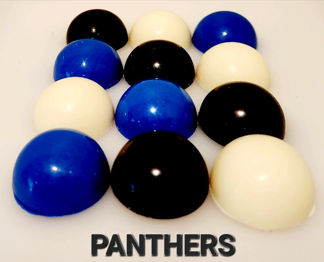 SPORTS: NFL NFC SOUTH (Ganache)