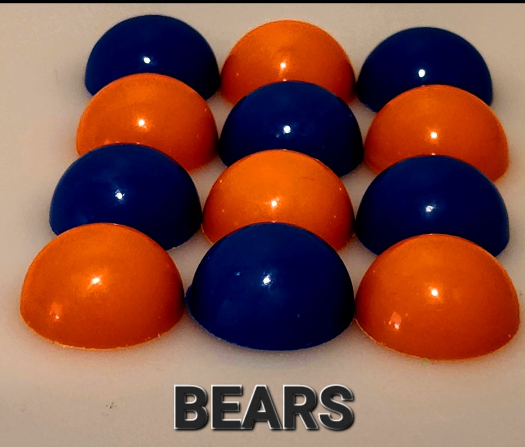 SPORTS: NFL NFC NORTH (Ganache)