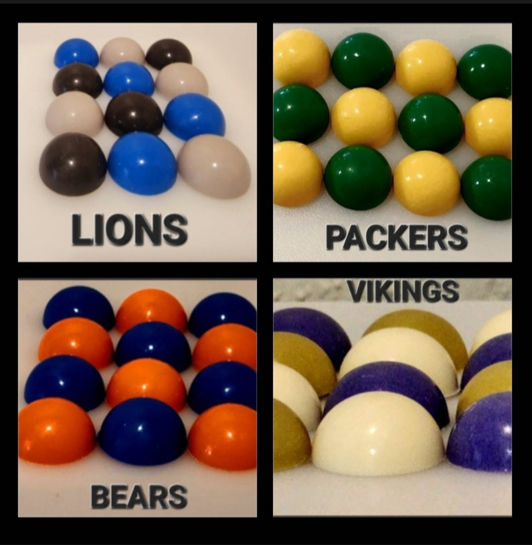 SPORTS: NFL NFC NORTH